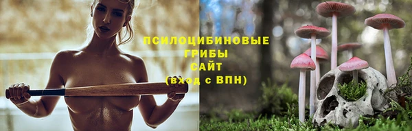 прущие грибы Вязьма