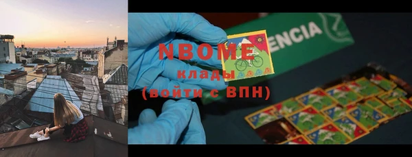 прущие грибы Вязьма