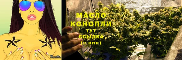гашик Горняк