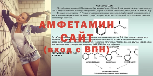 прущие грибы Вязьма