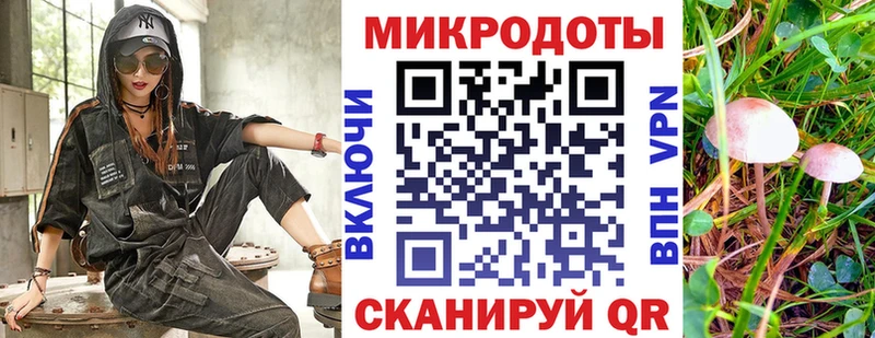 Псилоцибиновые грибы Cubensis  Купить где  Полесск 